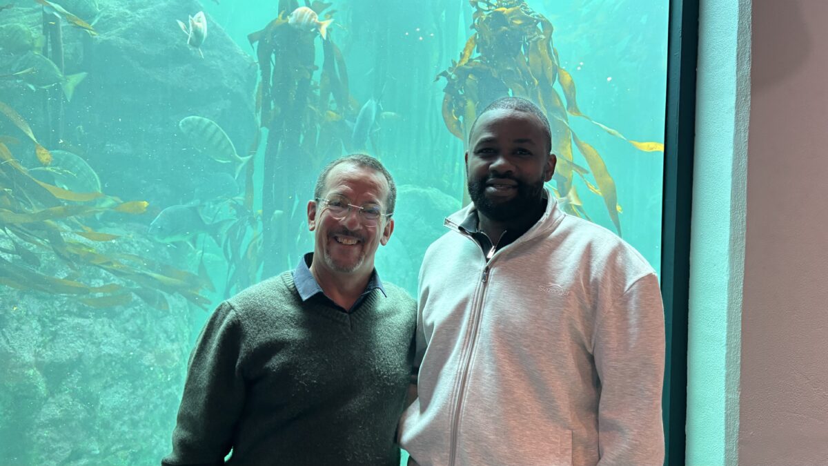 The Art of Letting Go (Part 5): Giants in the Shadows